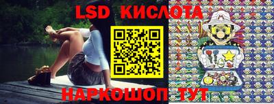 гашик Донской