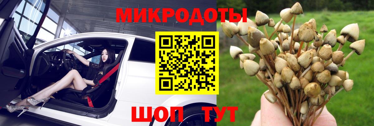 Псилоцибиновые грибы Cubensis Георгиевск