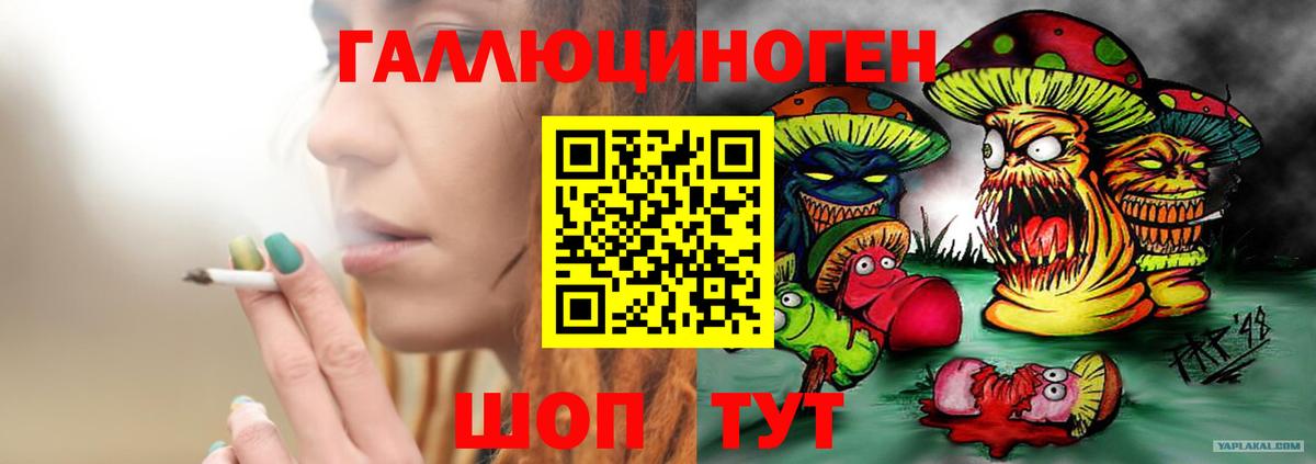 Георгиевск  даркнет сайт  Вход с VPN  Галлюциногенные грибы GOLDEN TEACHER 
